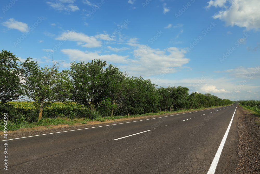 View of modern asphalt road in countryside View of modern asphalt road in countryside