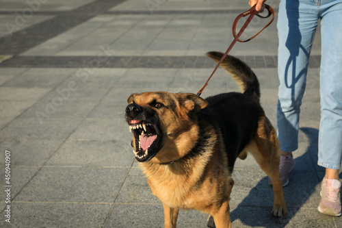 Woman with her aggressive dog outdoors, closeup photo