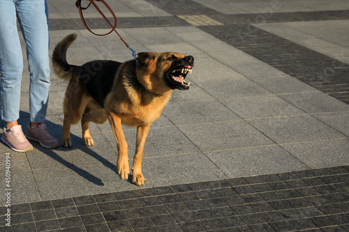 Woman with her aggressive dog walking outdoors, closeup