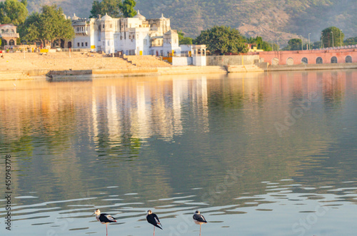 The Oasis of Pushkar in the State of Rajasthan, India photo