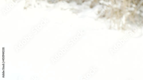 Girl sleds down a hill in the snow