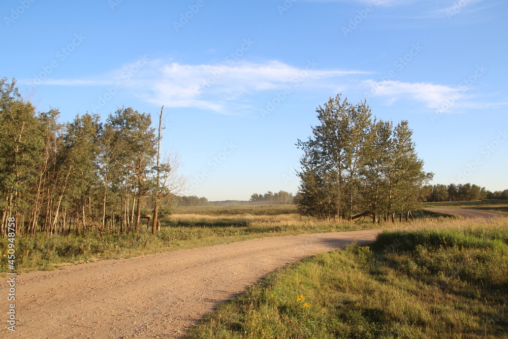 Evening On The Road, Elk Island National Park, Alberta Evening On The Road, Elk Island National Park, Alberta