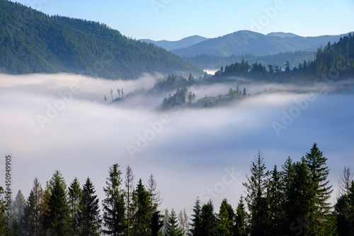 Misty landscape. Morning fog sunrise high in the Carpathian mountains in Ukraine.
