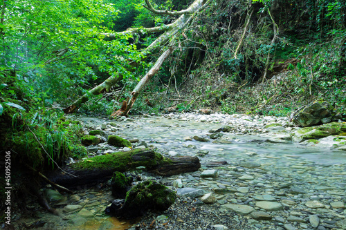 In a deep gorge of a small mountain river.