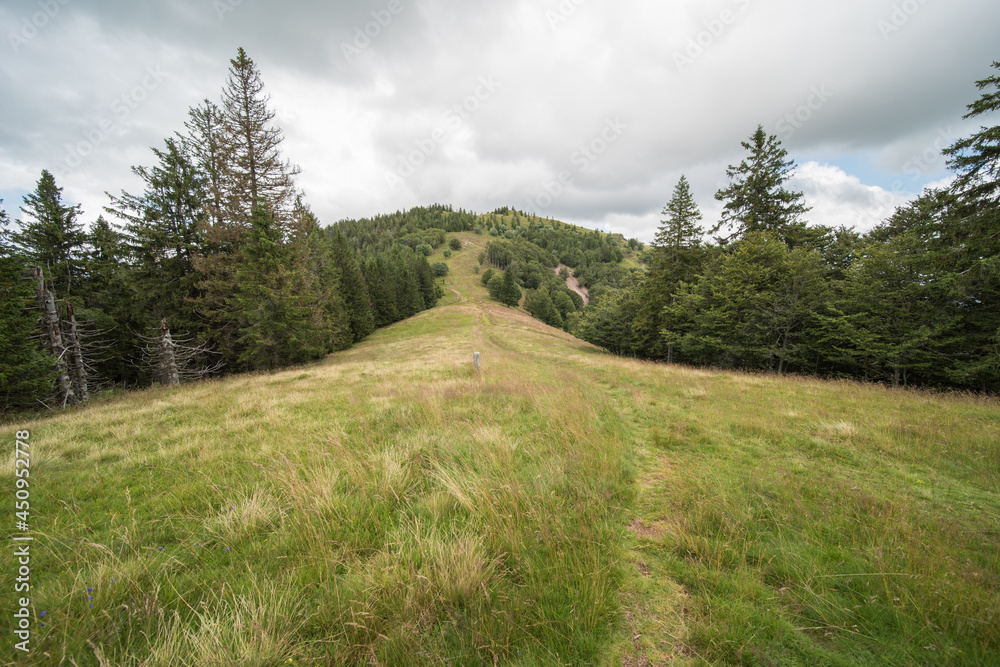landscape in southern germany on the belchen, the belchen is a 1414m high mountain. and a beautiful viewpoint in the region.
landscape in southern germany on the belchen, the belchen is a 1414m high mountain. and a beautiful viewpoint in the region.
