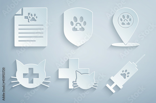 Set Veterinary clinic, Location veterinary, , Syringe with pet vaccine, Animal health insurance and Medical certificate for dog or icon. Vector