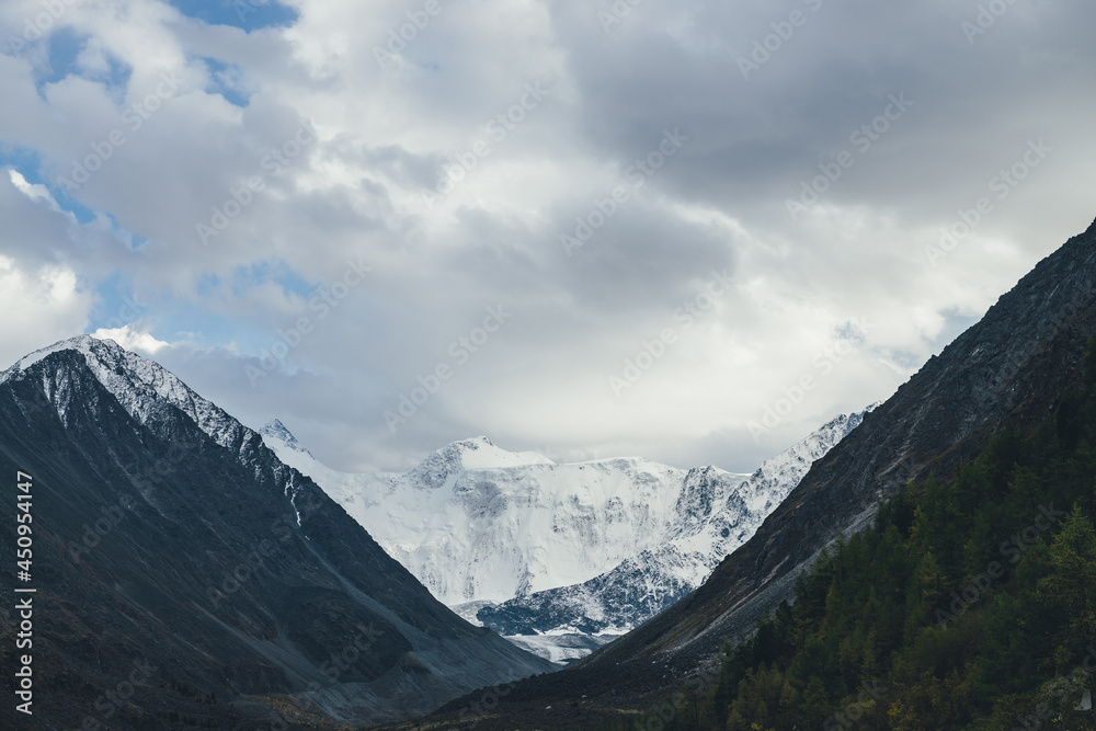 Atmospheric landscape with great snow mountains under cloudy sky. Dramatic scenery with trees on hill among dark rocks with view to high snowy mountain wall with glacier in valley in overcast weather.