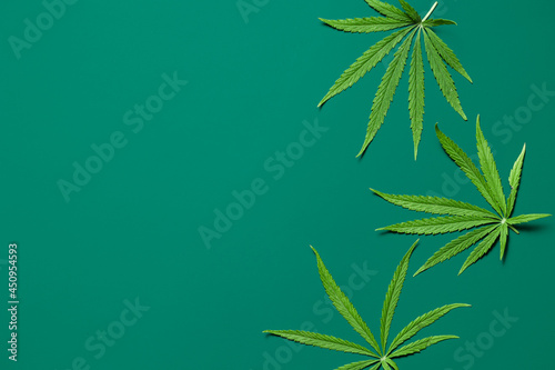 Creative flat lay background made of green cannabis leaves. Top view. Nature medical concept