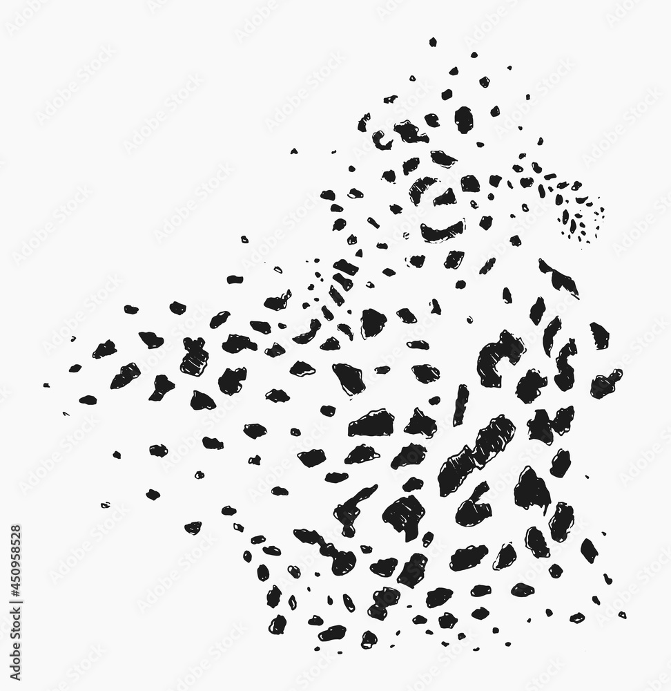 Drawn vector leopard fur texture print pattern Drawn vector leopard fur texture print pattern