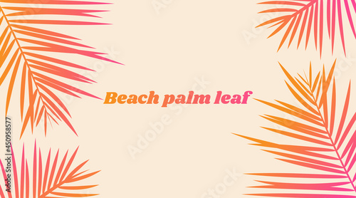 Beach palm leaf. Vector shadow from tropical leaves on the white background.