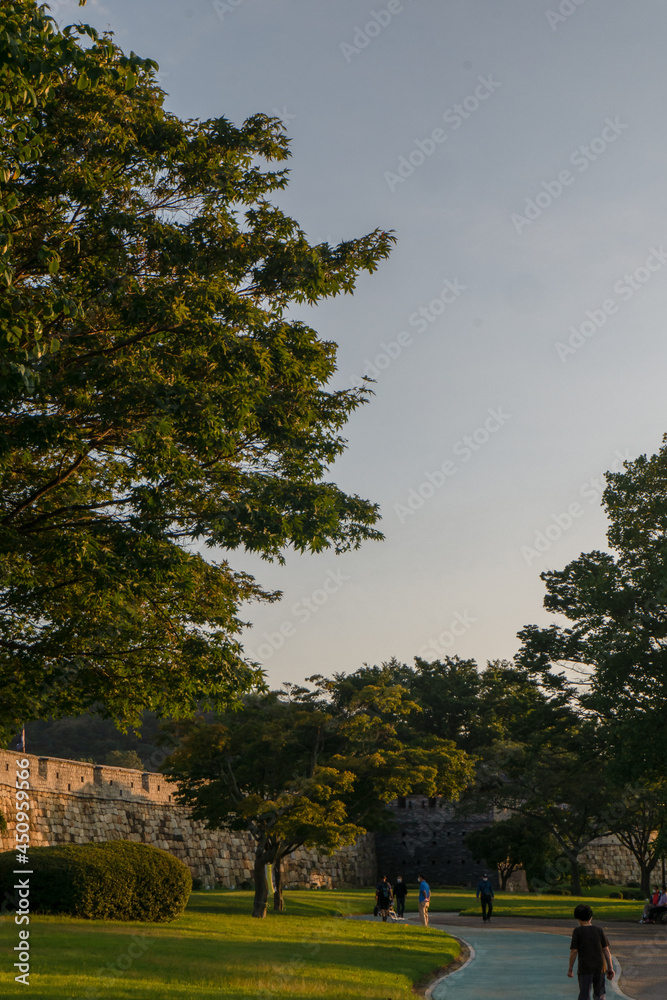 suwon landscape suwon landscape