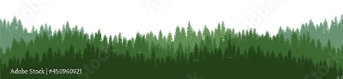 Pine forest. Silhouettes of coniferous trees. Wild landscape horizontally. Nice panoramic view. Beautifully illustration isolated on white background. vector