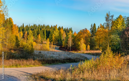 A sunny morning in Karelia.