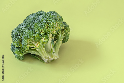 head of broccoli cabbage on a light green surface close up