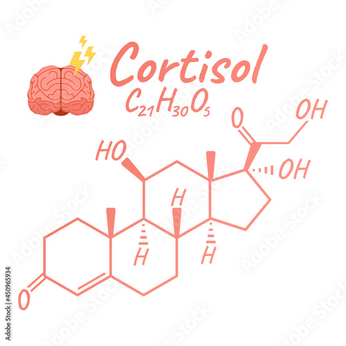 Human hormone cortisol concept chemical skeletal formula icon label, text font vector illustration, isolated on white. Periodic element table.