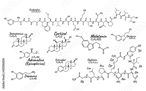 Human big set hormone concept chemical skeletal formula icon label, text font vector illustration, isolated on white. Periodic element table.