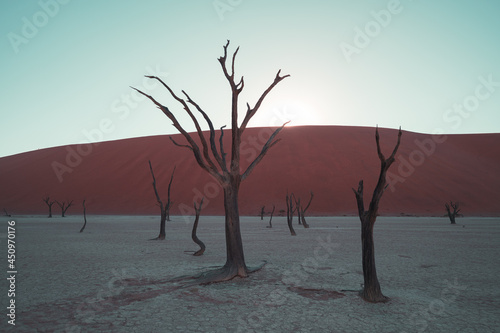 Sossusvlei, Namibia, a popular travel destination in Africa, with psychedelic and surreal landscapes.