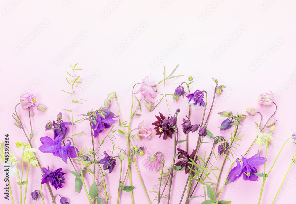 Naklejka premium Spring frame of small flowers, floral arrangement on pink backgrouns