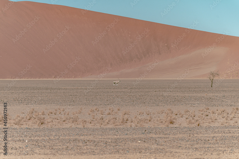 Desert natural scenery, landforms in arid areas. Desert scenery in Namibia, Africa. Desert natural scenery, landforms in arid areas. Desert scenery in Namibia, Africa.