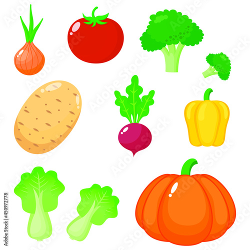 Vector illustration of fresh vegetables. Set of colorful vegetable icons, isolated on white background. Simple design for ducational media. Symbol. Element