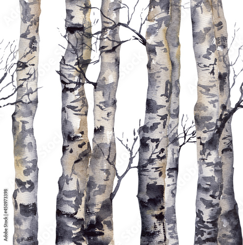 Photo Seamless border with trunks of birches on a white background painted with waterc