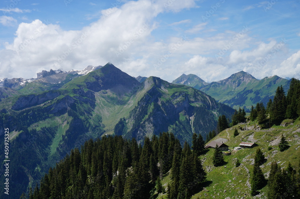 Fototapeta premium 쉬니케플라테