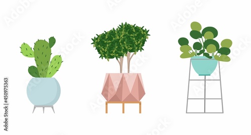 A set of stylish fashionable indoor plants for the house. Isolated on a white background. Dracaena, monstera, boxwood, spatifilum, ficus benjamin, pineapple, zamiokulkas. Color flat vector