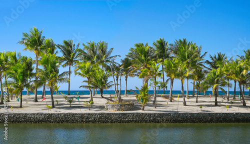 beach with palm trees, daanbantayan cebu