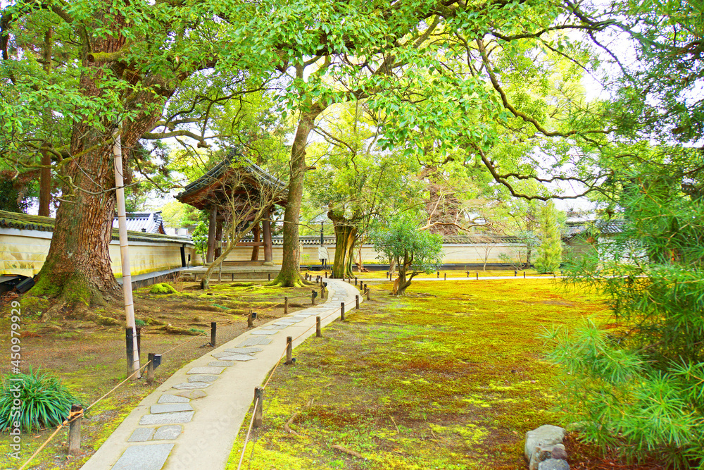일본의 정원
