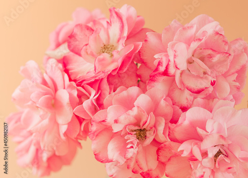 Pink flowers close up romantic bunch background card. White and pink roses card copy space. © travelbook