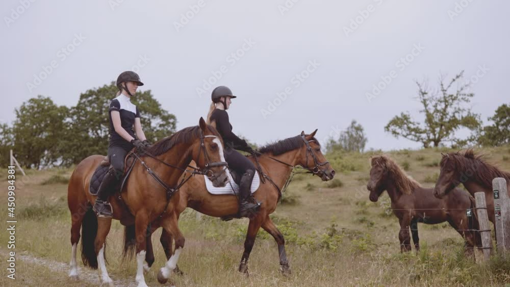 Two Equestrians Mounted in Horses With the View of a Herd of Horses Two Equestrians Mounted in Horses With the View of a Herd of Horses