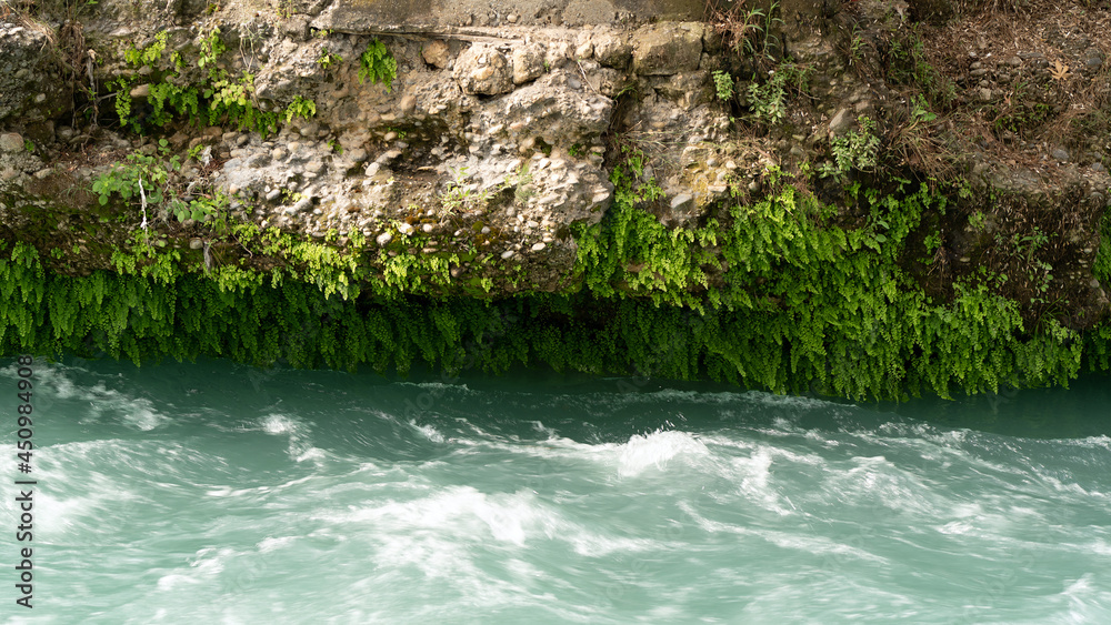 Beautifully hanging leaves from a mountain cliff above the river