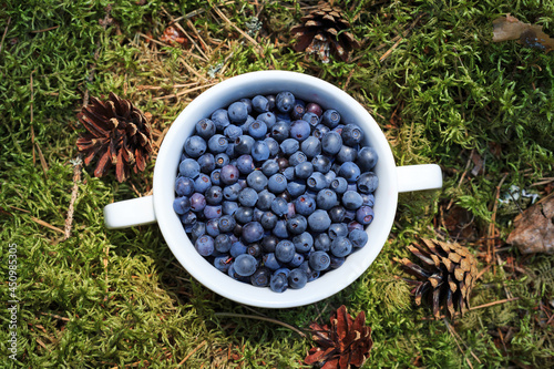 Freshly picked blueberries in bowl. Healthy eating and nutrition. Natural, ecological product for desserts, jams. photo