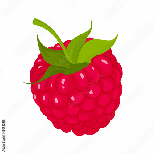 Raspberry with leaf, isolated on white background, Raspberry vector icon clipart. Raspberry icon, flat cartoon illustration