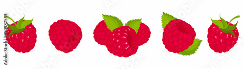 Raspberry, isolated on white bacground. Raspberry vector set, whole and slice of raspberry with green tail and leaf. Flat design