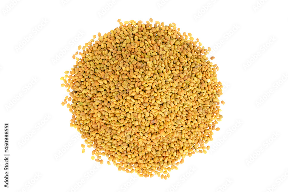 Melilotus officinalis seeds isolated on white background, top view. Pile of sweet clover seeds isolated on white background. Seeds of sweet clover yellow, white isolated on white background, top view. Melilotus officinalis seeds isolated on white background, top view. Pile of sweet clover seeds isolated on white background. Seeds of sweet clover yellow, white isolated on white background, top view.