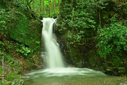 Fototapeta Naklejka Na Ścianę i Meble -  竜王の滝、夏の風景