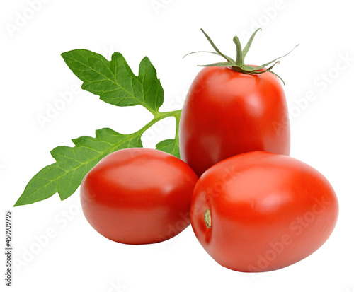 San Marzano, plum or Roma tomato isolated on white background including clipping path or cutout