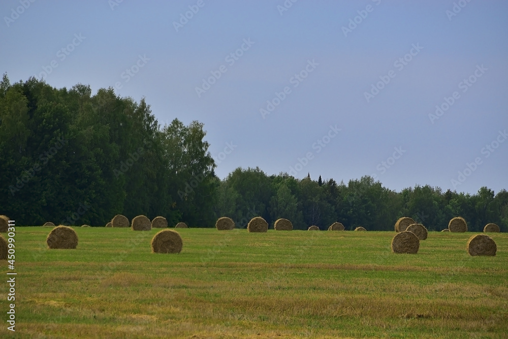 It's time for haymaking.