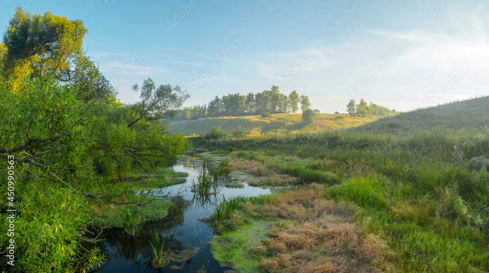 Summer landscape with calm river