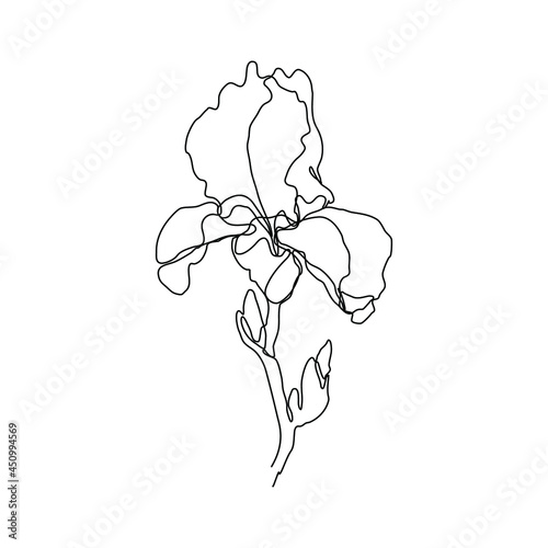 Iris flower in one line style isolated on white background. Continuous art in an elegant style for prints, tattoos, posters, textiles, postcards, etc. Vector illustration of a beautiful iris flower.