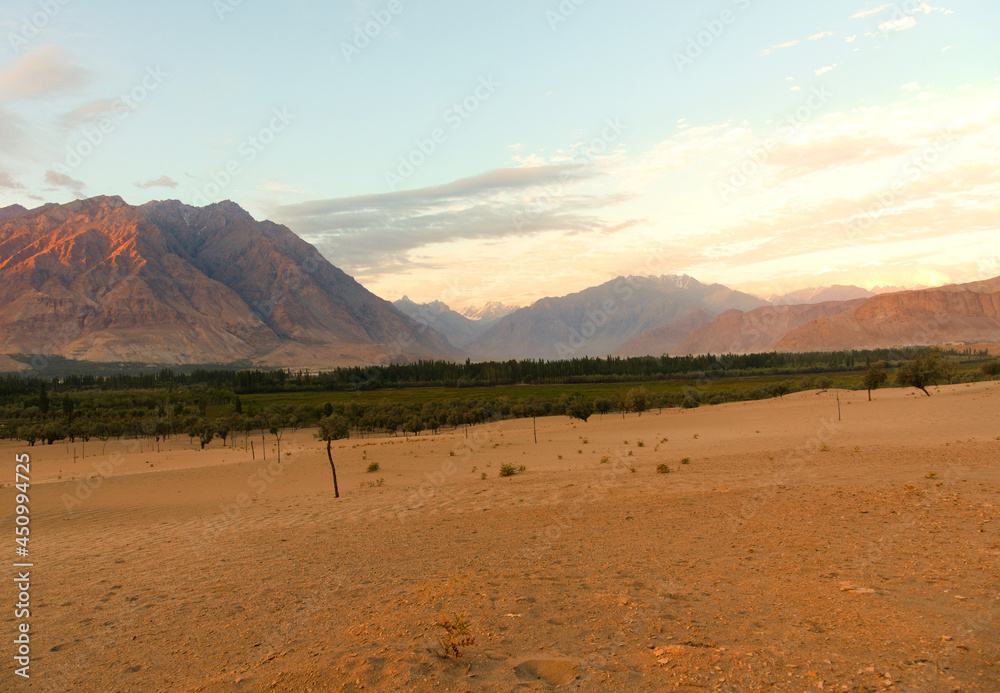 Katpana Desert, Skardu, Pakistan 
A beautiful view including dry landscape with greenery sprouting in the middle