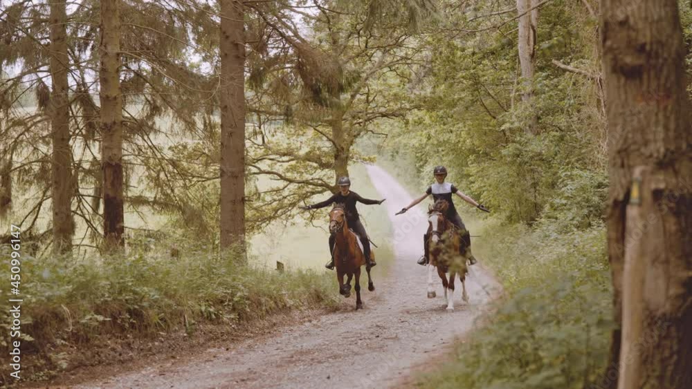 Female Equestrians Balancing While Mounted on Brown Horses on a Tight Road Female Equestrians Balancing While Mounted on Brown Horses on a Tight Road
