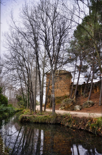 nice trees with autumn colos . en caravaca de la cruz.