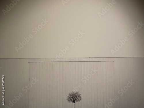 Winter tree