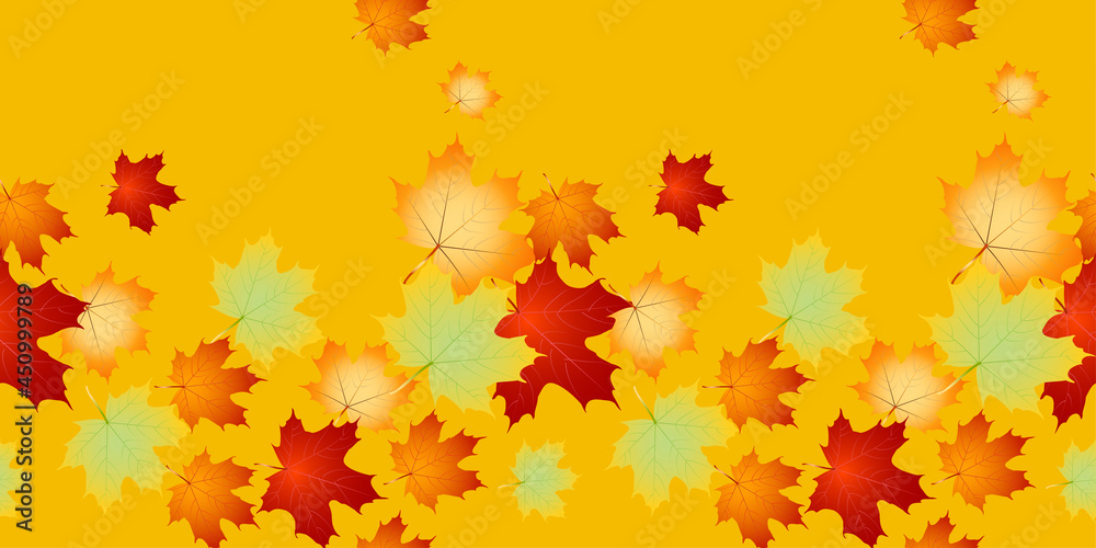 Seamless autumn leafs vector pattern. Seamless border with Fall maple leaves.Back to school, education. Vector design EPS 10