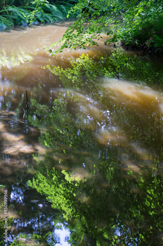 dreamlike reflection of summer sunlight and green leaves in calm water in a garden
