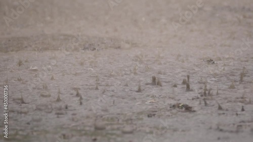 The Rain Fell Heavily on The Ground