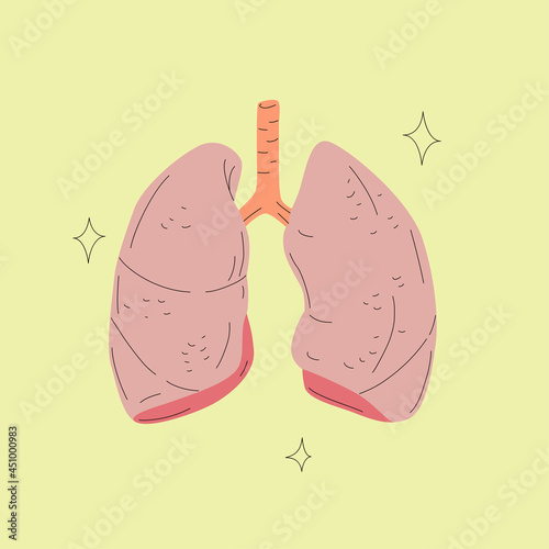 Human Lungs Vector Illustration