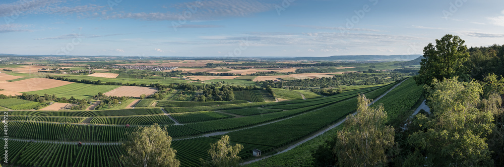 Weinland Nordheim